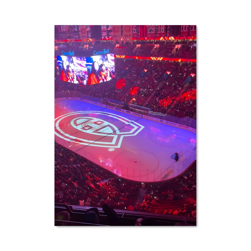 Poster Sur Glace Hivernale